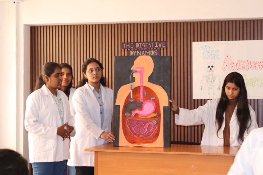 Anatomy 3D Exhibition-Contest